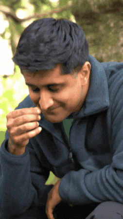 Grass Rana GIF