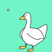 Animated Duck GIFs | Tenor