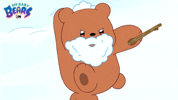 Ice Bear Snow GIF by Cartoon Network
