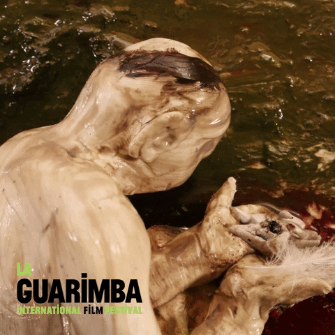 New Born Halloween GIF by La Guarimba Film Festival