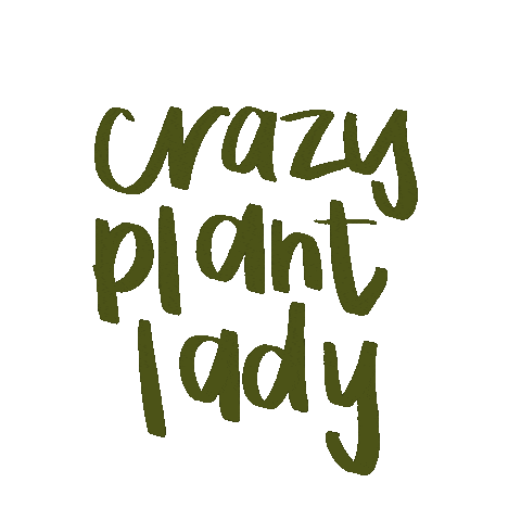 Plant Sticker