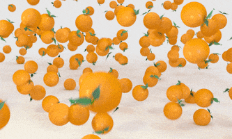 orange fruit oranges GIF