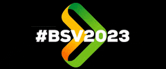 Bsv GIF by Brazil at Silicon Valley