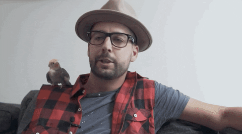 Vegan Pet GIF by John Crist Comedy - Find & Share on GIPHY