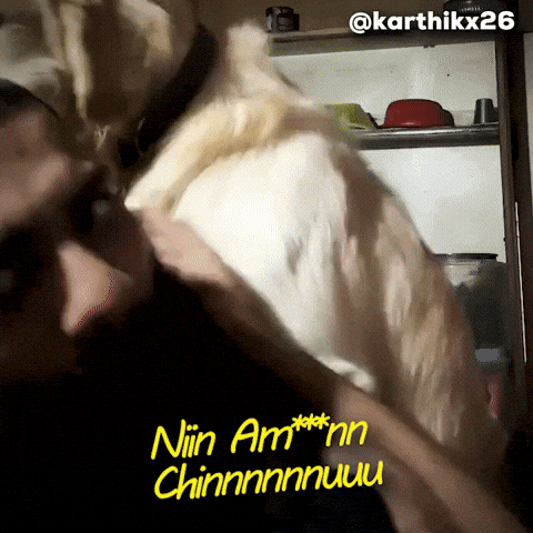 Nknchinnu GIF