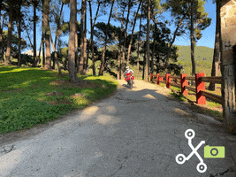 Fotografia GIF
