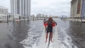 lgdcom miami marina palms GIF