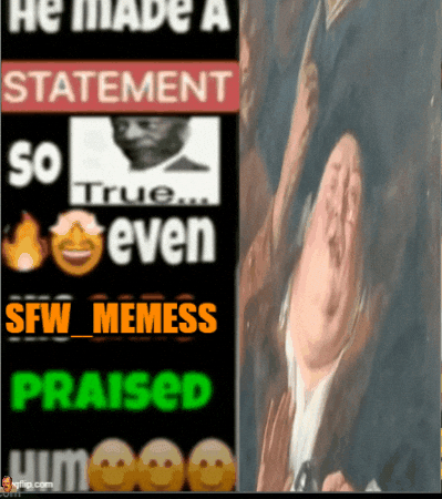 Sfwmemess GIF