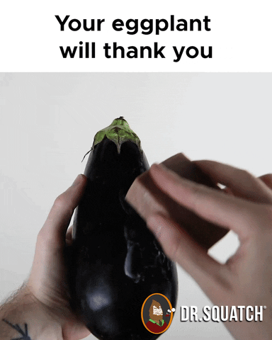 Eggplant Thank You GIF by DrSquatchSoapCo