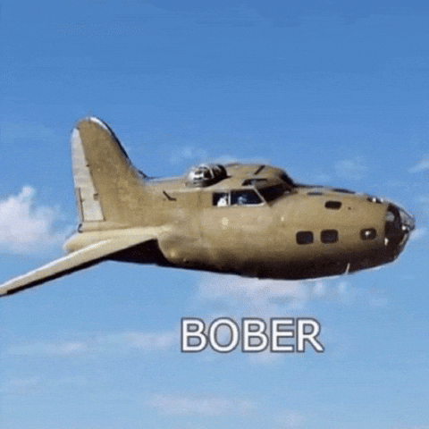 Plane Flying GIF