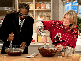 snoop dogg deal with it GIF