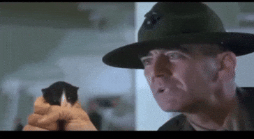 Cat Army GIF