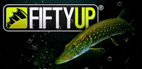 Fiftyup GIF