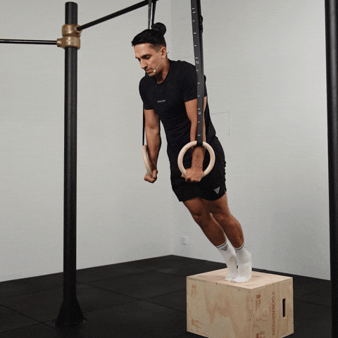 Calisthenics Daniel Flefil GIF