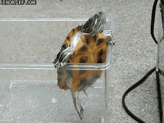 Escape Moving GIF by Cheezburger