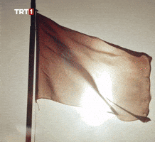 Flag Smile GIF by TRT