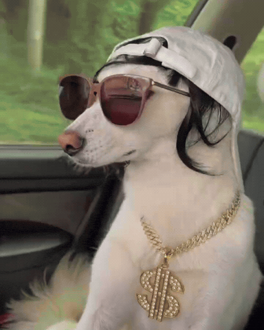 Dawg GIF