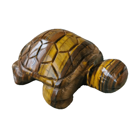 Tigers Eye Turtle Sticker by Lauri Giepmans