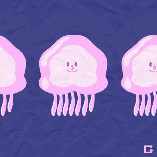 Ponyojellyfish GIFs Find & Share on GIPHY