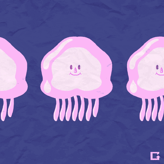 Jellyfish GIF by gifnews