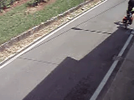 pasqualeegiovannaborsato  GIF