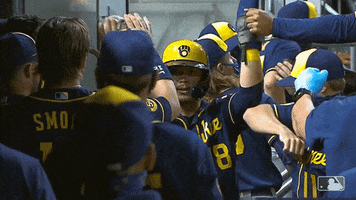 Hi Five Sport GIF by Milwaukee Brewers