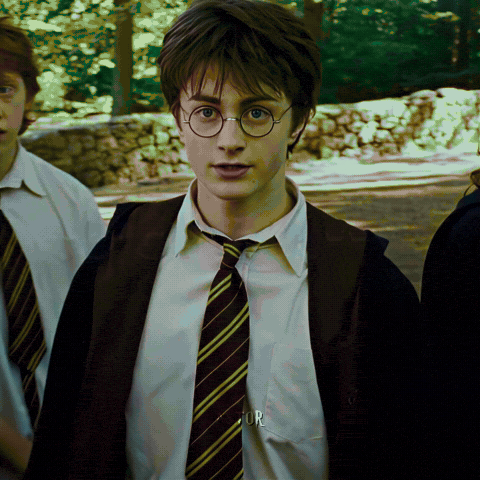 Harry Potter GIF