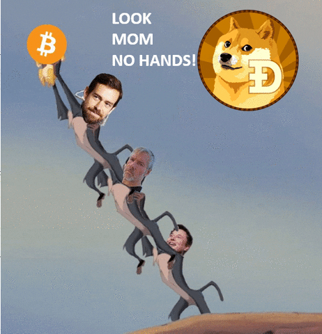 Meme Bitcoin GIF by Huobi