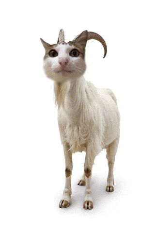 Goat Uncle GIF