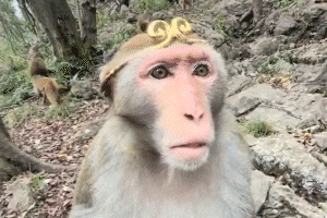 Confused Daydream GIF