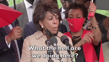What Are We Doing Maxine Waters GIF by GIPHY News