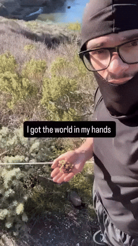 Blade GIF