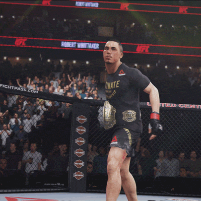 New Zealand Fight GIF by EA SPORTS UFC