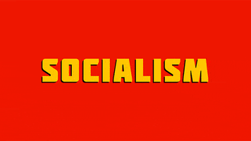 Government Marxism GIF
