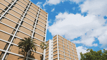 student life GIF by University of Florida