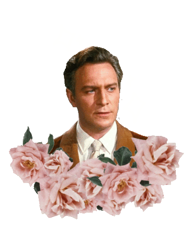 The Sound Of Music Captain Sticker