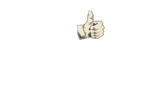 Sticker by Buffet Recanto dos Sonhos