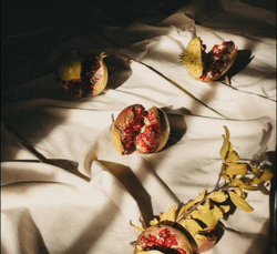 Origo Natural Skincare GIF