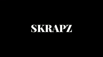 Music Video Intro GIF by Skrapz