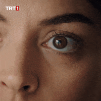 Ezgi Mola Aaaa GIF by TRT