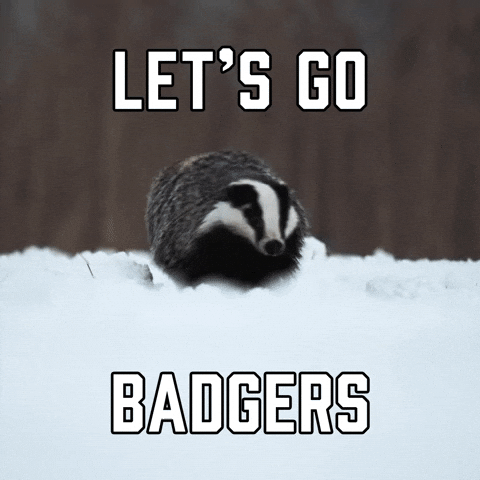 Badger's meme gif