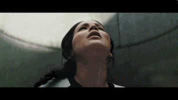 hunger games fire GIF