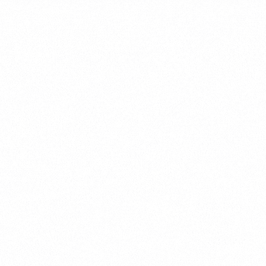 Experience GIF
