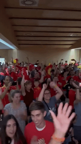 World Cup Fans GIF by Storyful