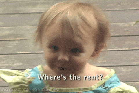 the landlord baby GIF