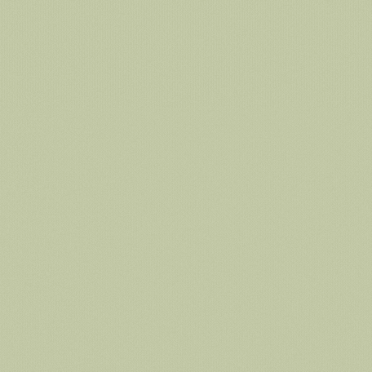 Vivirbonito GIF by QUO VADIS BLOGS