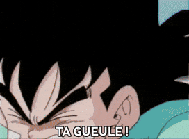 Dragon Ball Ta Gueule GIF