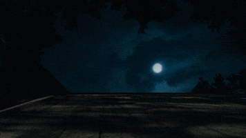 Tatiana Maslany Horror GIF by NEON