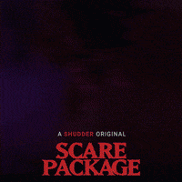 Scared Horror GIF - Find & Share on GIPHY Scary films, Shocked face, Horror movies