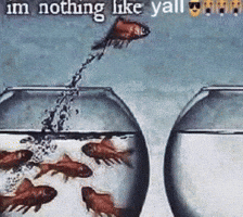 Im Nothing Like Yall GIF